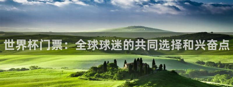 2026年足球世界杯赛程时间表:世界杯门票:全球球迷的共同选择和兴奋点