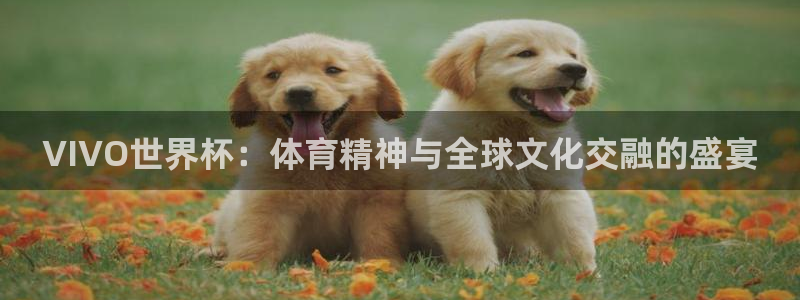 2026世界杯欧洲预选赛赛程表:VIVO世界杯:体育精神与全球文化交融的盛宴