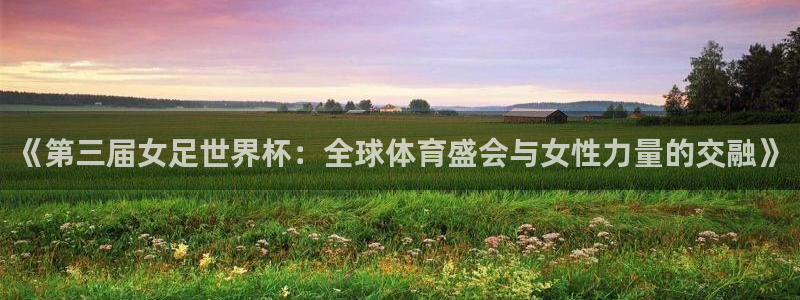 2026世界杯预选赛:《第三届女足世界杯:全球体育盛会与女性力量的交融》