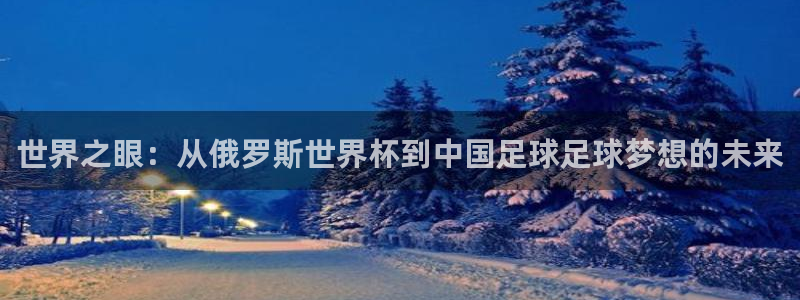 世界杯比赛:世界之眼:从俄罗斯世界杯到中国足球足球梦想的未来