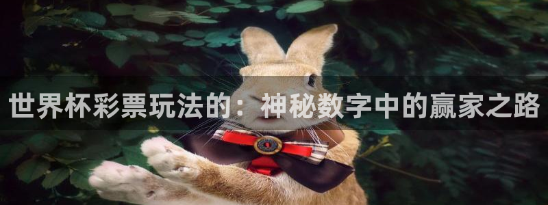2006年世界杯冠军:世界杯彩票玩法的:神秘数字中的赢家之路
