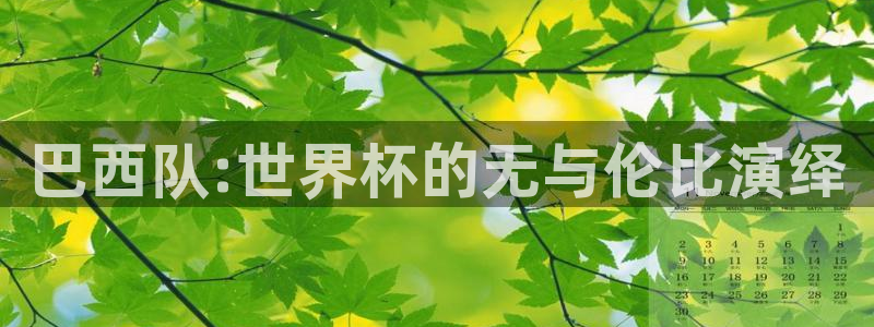 世界杯对阵表:巴西队:世界杯的无与伦比演绎